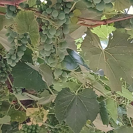 Vardzia Сhachkari מראה חיצוני תמונה